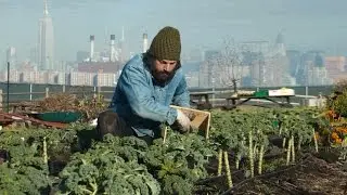 You Should with North Brooklyn Farms