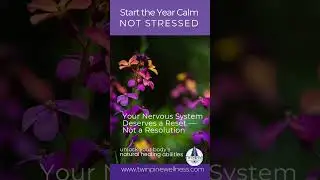 Start the Year Calm, Not Stressed: Your Nervous System Deserves a Reset &mdash; Not a Resolution