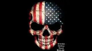 Распаковка 5D Artist American Skull