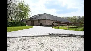 STUD 111,   Where breeding and stallion station, dressage and jumping live together harmoniously