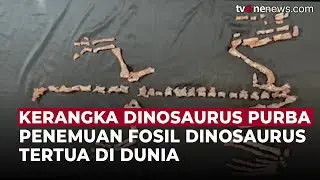 Penemuan Fosil Langka di Argentina Ungkap Salah Satu Dinosaurus Tertua di Dunia | OneNews Update