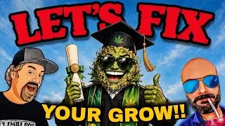 The 10 Cannabis Grow Questions That Could Save Your Harvest