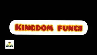 Kingdom fungi |Mycelium| hyphae| septa| septum| aseptate hyphae |septate hyphae