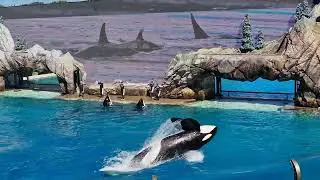 Orca Show @ Ocean Park Oct 2025 