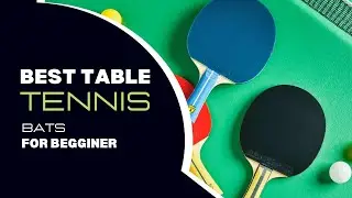 Best Table Tennis Bats For Beginners in 2025