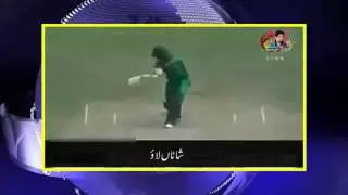 Champion panama is champion.                       MurSHid LoOg