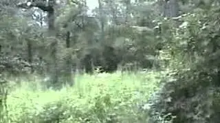 lasertag2