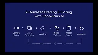 Robovision's Easy Six-Step User Flow for Grading & Picking