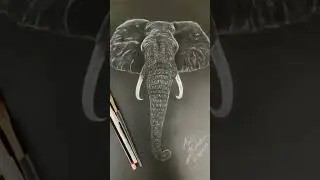 🐘🎨🤩Art Magic 🪄 elephant 🐘 #art #magic #elephant #love #animals