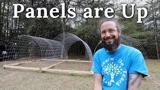 Cattle Panel Coop Build Continues