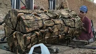 No Safety, No Fear &mdash; Battling a Monster Trembesi Log in an Extreme Sawmill