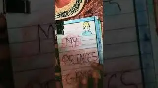 My princess phone game /  dolls,quiet book and games /