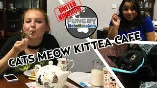 Cat's Meow Kittea Cafe | Cat Cafe In Scotland | Globemunchers