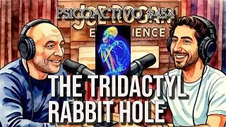 Jesse Michels does The Joe Rogan Experience and discusses the Tridactyl Beings - Psicoactivo #454