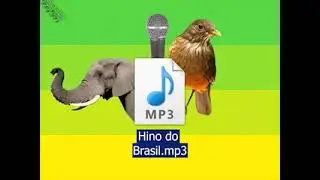 S&eacute;rie Bits e Bytes - Epis&oacute;dio 4: Os arquivos de computador 