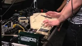 Cock and Swan - Animal Totem (Live on KEXP)