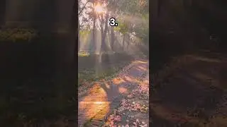 Choose your favorite path to walk alone! #ytshorts #shortsviral#shortvideos #youtubeshorts#aesthetic