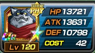 BROKEN! 100% TUR PHY BERGAMO Showcase | Dragon Ball Z Dokkan Battle