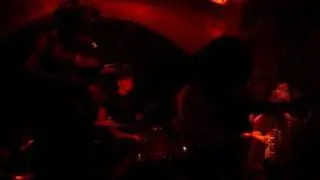 DUST COVERED CARPET - Uncover it's Roots