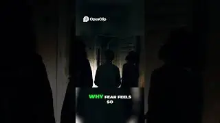 Fear: The Ultimate Attention Hack for Information Overload