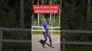 How to sit in canter without bouncing!