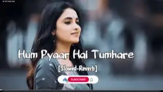Hum Pyaar Hai Tumhare | Slowed-Reverb |90's Song oldisgoldsongs Lofi Song 