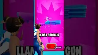Did you know about this SECRET shotgun? 🤔
