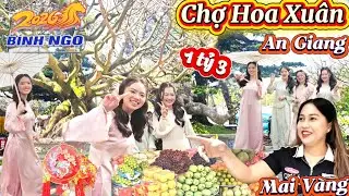 Chợ Hoa Xu&acirc;n B&iacute;nh Ngọ 2026 AN Giang Mai V&agrave;ng Tiền Tỉ ở Long Xuy&ecirc;n 