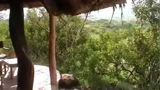 Lewa Safari Camp - Lewa Wildlife Conservancy - Kenya