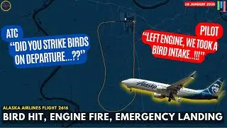 (Breaking) Smoke in the Cockpit After Bird Strike Forces Alaska Airbus to Make Emergency Landing