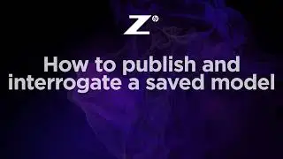 Z by HP | How to publish and interrogate a saved model