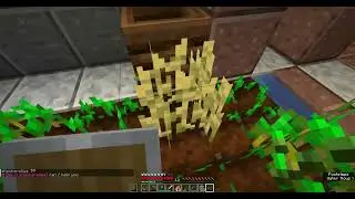 Saving IDOSZ13 and Shacharatiya from Purity Vanilla spawn