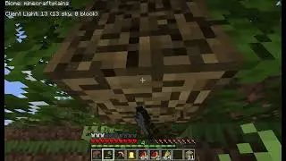 Minecraft Let's Play Episode 2. 