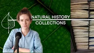 The Mysterious World of Natural History Collections