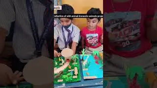 wild animals and domestic animals school projects collection #kannadamomblogger #messymomindia