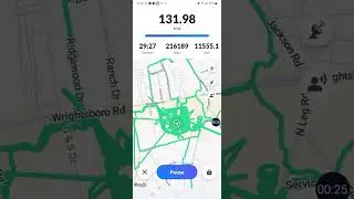 Walking Mile 132