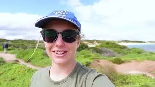 Through the lens: A day at Point Peron