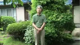 Yasuo Hotta (Water Flea) Message for JWFF 2011 (Japanese)