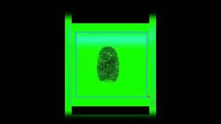 Fingerprint in the Quran | Every Human has different fingerprint mentioned in the Quran #islam