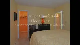 Amazing Apartments | Spring House Apartments