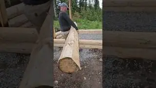 Ep5: Peeling and layering the logs | Root Cellar build #offgrid #rootcellar #diy #build