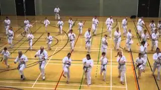 Training with Sensei Andy Sherry