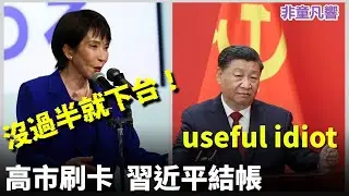 現代草船借箭，高市早苗刷卡，習近平埋單。日本眾議院選戰再10天揭曉，高市即席演說，誠意動人。習近平會再出昏招為高市助攻？｜2026.1.28【非童凡響】