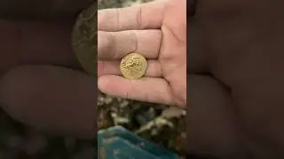 Gold Coins  (ROMA ) 213-283