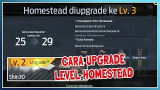 HOW TO UPGRADE LEVEL HOMESTEAD | UNDAWN