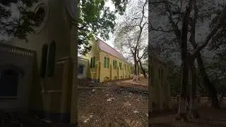 Krishnath college || history of krishnath college || কৃষ্ণনাথ কলেজের ইতিহাস || berhampore