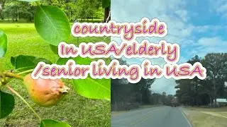 The countryside/elderly/senior benefits/health insurance/Alzheimer ￼