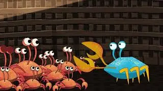 CRAB STORY || FLIPKART || TATTVA STUDIOS