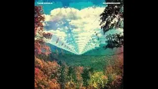 TAME IMPALA X CAGE THE ELEPHANT TYPE BEAT | 