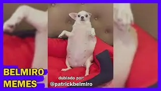 Belmiro Memes: Melhores dublagens engraçadas da semana 100